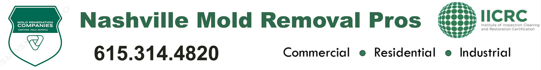 Nashville Mold Removal Pros