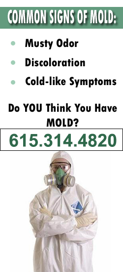 Nashville Mold Remediation Contractor